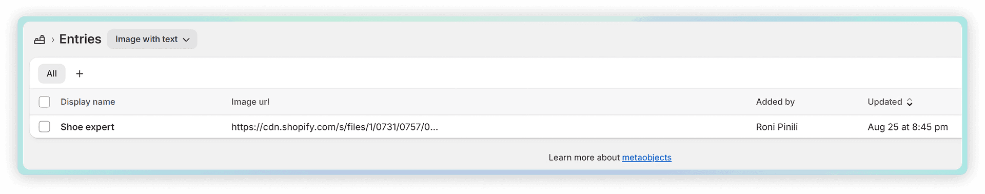 Managing Metaobject Entries